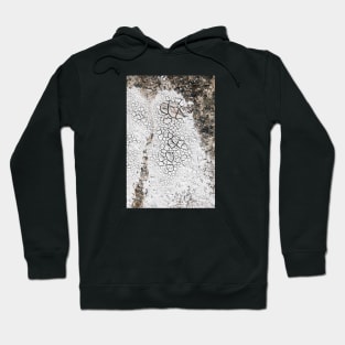 Cracks in dry soil Hoodie